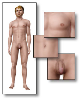 The Sims 3 Natural Nude Skin ND Shaved 1 Download 1